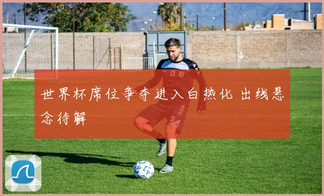世界杯席位争夺进入白热化 出线悬念待解
