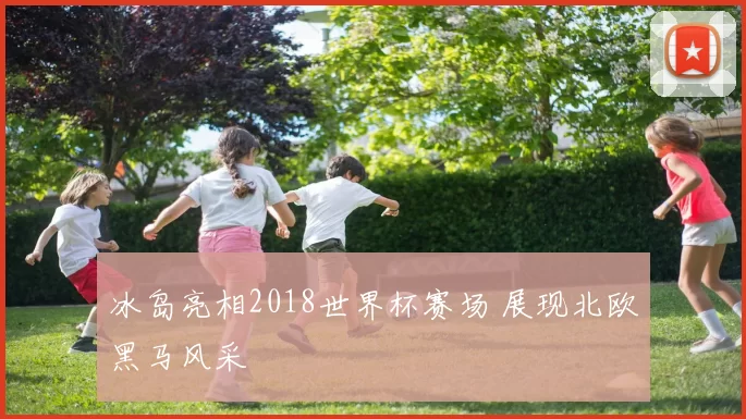 冰岛亮相2018世界杯赛场 展现北欧黑马风采