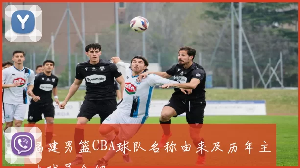 福建男篮CBA球队名称由来及历年主力球员介绍