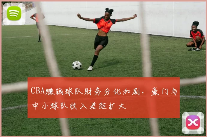 CBA赚钱球队财务分化加剧,豪门与中小球队收入差距扩大
