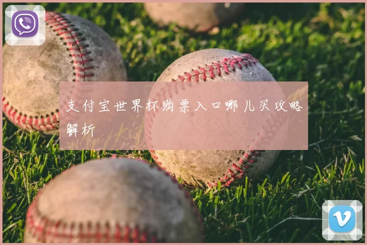 支付宝世界杯购票入口哪儿买攻略解析
