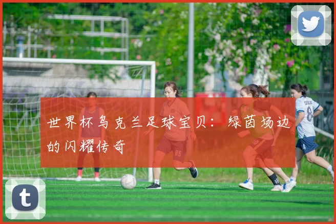 世界杯乌克兰足球宝贝:绿茵场边的闪耀传奇