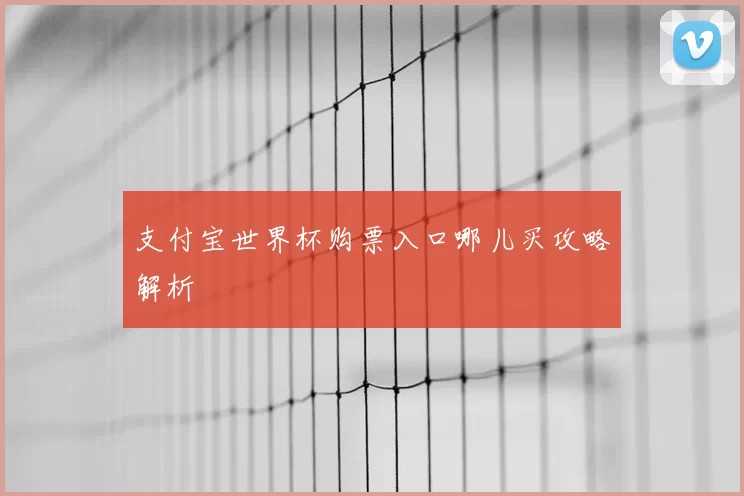 支付宝世界杯购票入口哪儿买攻略解析