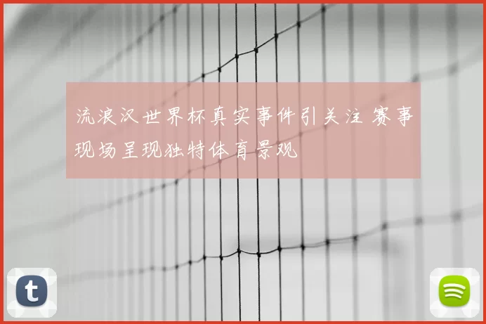 流浪汉世界杯真实事件引关注 赛事现场呈现独特体育景观