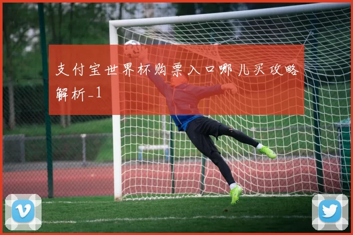 支付宝世界杯购票入口哪儿买攻略解析_1