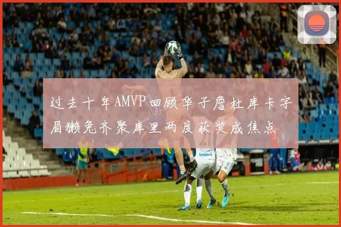 过去十年AMVP回顾华子詹杜库卡字眉獭兔齐聚库里两度获奖成焦点
