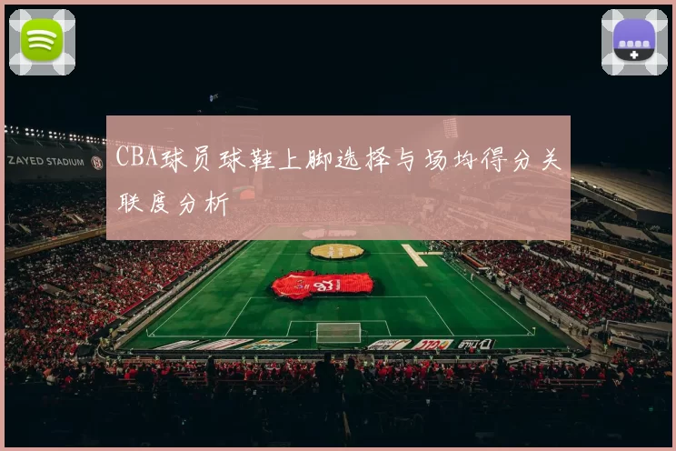 CBA球员球鞋上脚选择与场均得分关联度分析