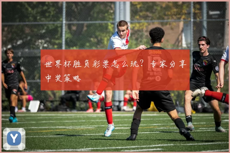 世界杯胜负彩票怎么玩？专家分享中奖策略